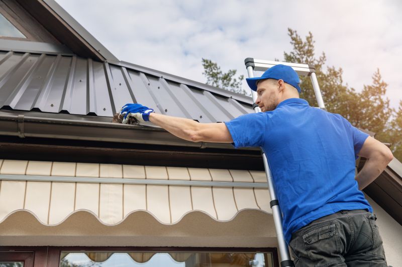 Handyman Gutter Service